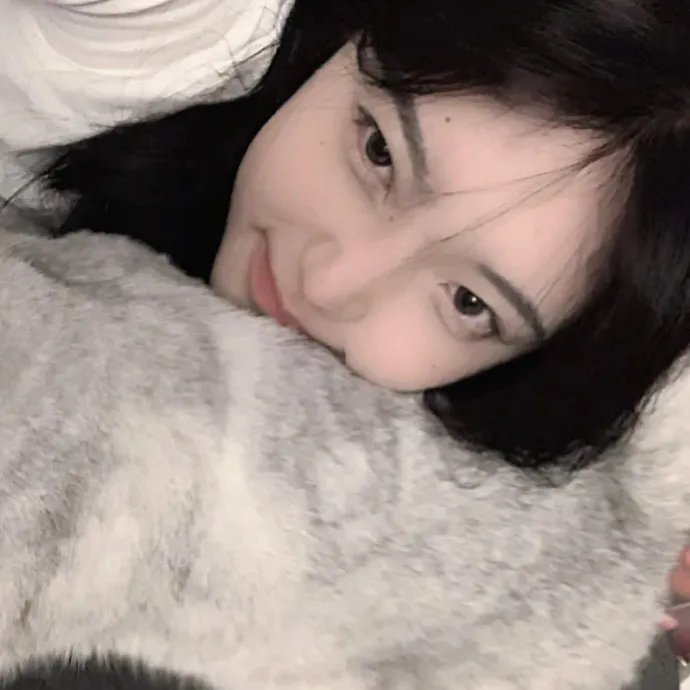 复仇女神封面